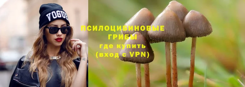 Псилоцибиновые грибы MAGIC MUSHROOMS  кракен ТОР  Артёмовск  цены  